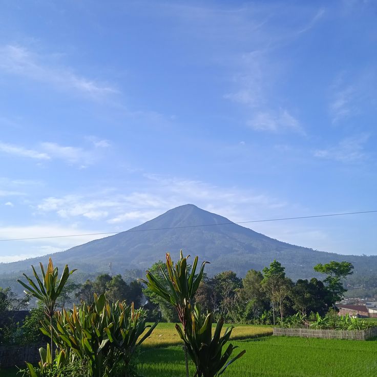 Gunung Cikuray